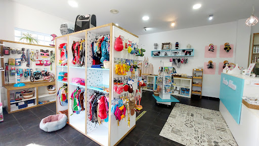 Mascotas Modernas - Santiago de Compostela