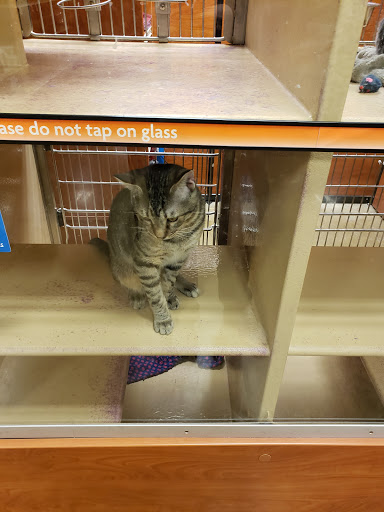 Pet Supply Store «PetSmart», reviews and photos, 4164 E. McCain Blvd., North Little Rock, AR 72117, USA