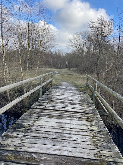 Hedeland Forest Trail