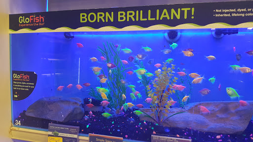 Pet Supply Store «PetSmart», reviews and photos, 2940 Chapel Hill Rd, Douglasville, GA 30135, USA