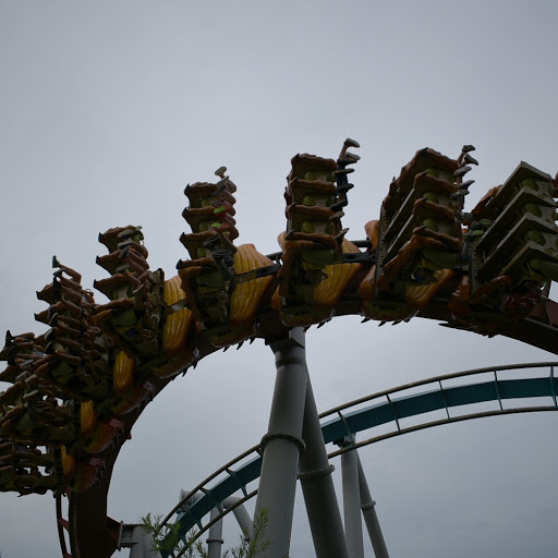 Roller Coaster «Dragon Challenge», reviews and photos, 6000 Universal Blvd, Orlando, FL 32819, USA