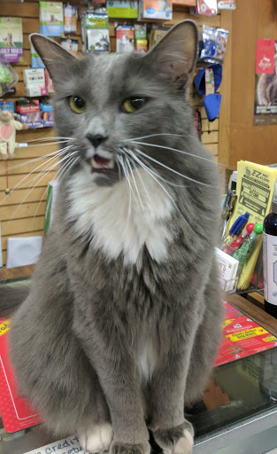 Pet Supply Store «Kims Natural Pet Foods», reviews and photos, 3110 Lithia Pinecrest Rd, Valrico, FL 33596, USA