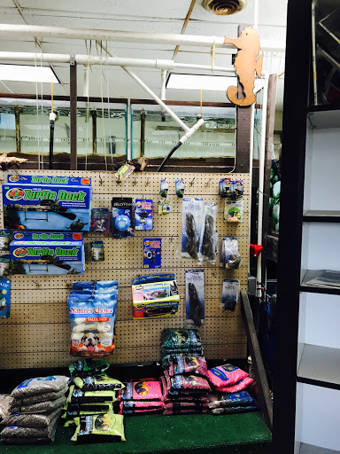 Tropical Fish Store «J B Tropical Fish», reviews and photos, 1950 N Black Horse Pike, Williamstown, NJ 08094, USA