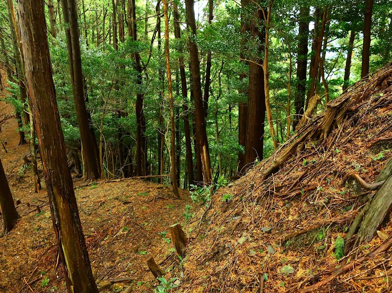 亀穴城（滝山城）跡