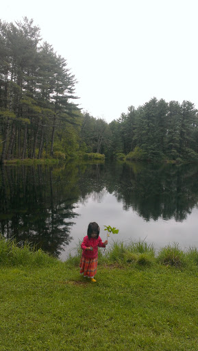 Museum «Dorflinger Glass Museum», reviews and photos, 37 Suydam Dr, White Mills, PA 18473, USA