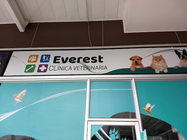 Opiniones de Clínica Veterinaria Everest en Peñalolén - Veterinario
