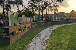 Taman Kebun Bibit Mojolangu Kota Malang image
