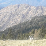 Photo n°1 de l'avis de Bruno.u fait le 31/03/2023 à 10:46 sur le  Rifugio Magnolini à Costa Volpino