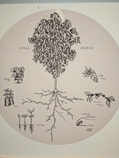 Coffee Shop «Starbucks», reviews and photos, 1741 E Geneva St a, Delavan, WI 53115, USA