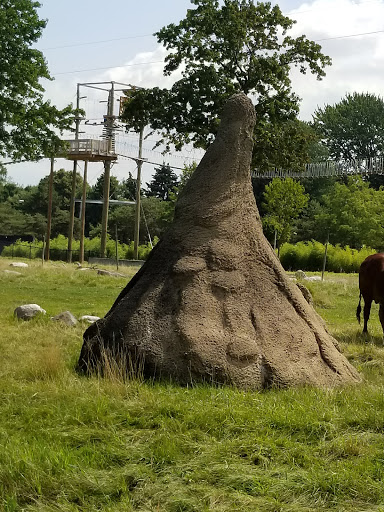 Zoo «Toledo Zoo», reviews and photos, 2 Hippo Way, Toledo, OH 43609, USA