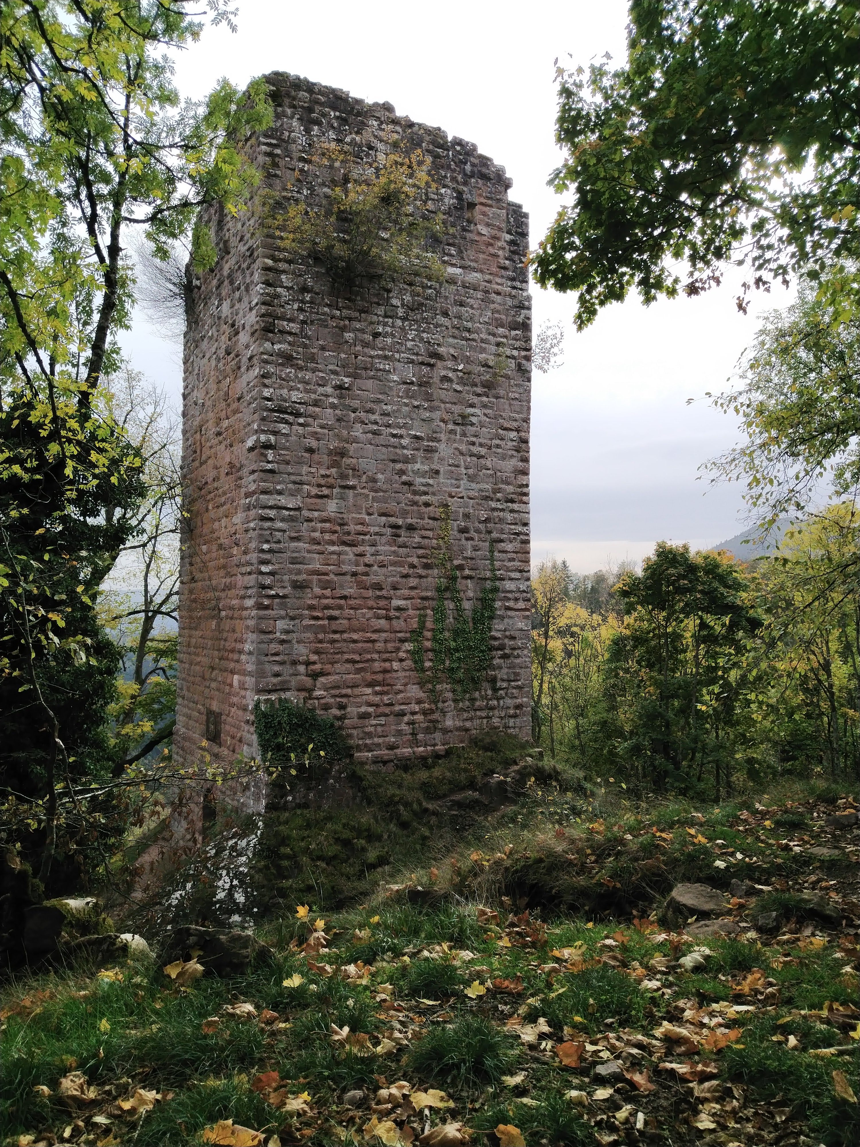 Photo n° 1 de l'avis de lydia.i fait le 25/10/2022 à 20:51