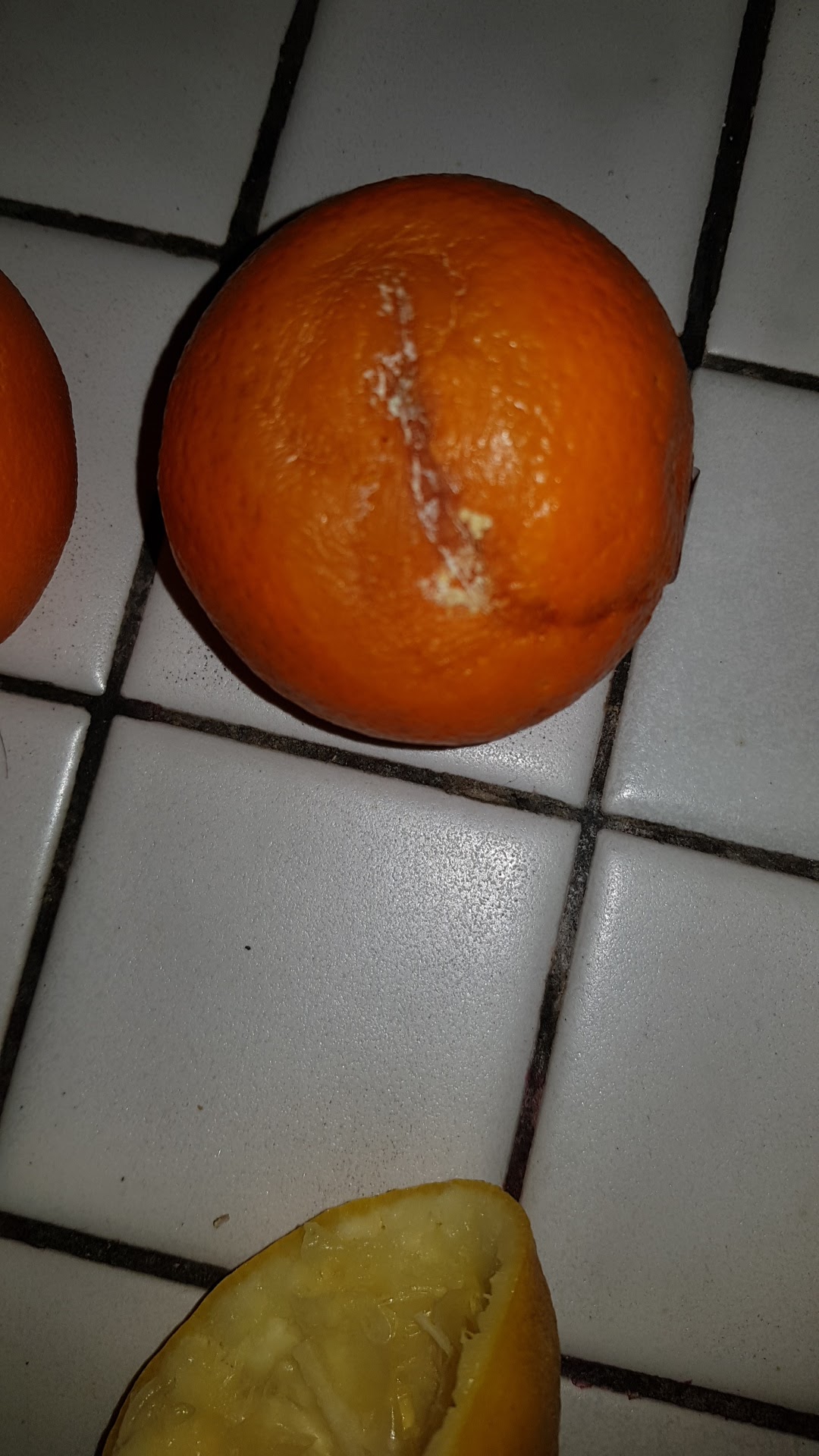 Photo n° 4 de l'avis de Elisa.o fait le 15/04/2019 à 03:05