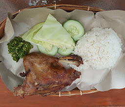 Bebek Meleduck photo