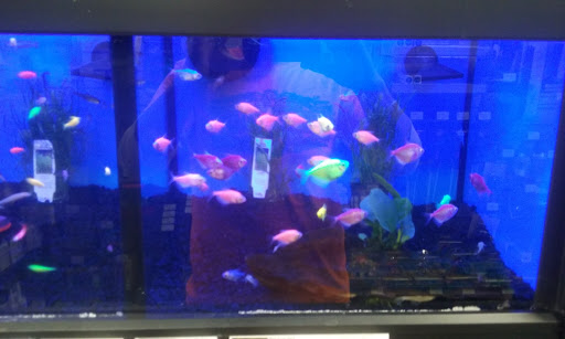 Pet Supply Store «Pet Supplies Plus», reviews and photos, 2812 Reynolda Rd, Winston-Salem, NC 27106, USA