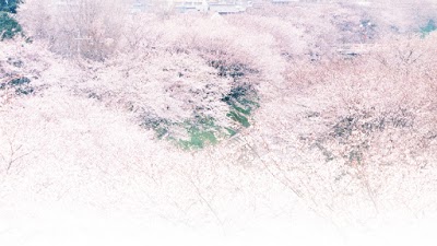 カルチャーアカデミー岐阜新聞・ぎふチャン
