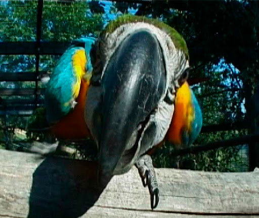 Tierklinik Strebersdorf Hochleithner GmbH