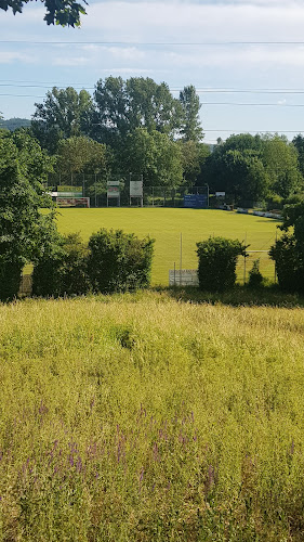 Rezensionen über Freiburger Fußball-Club in Bulle - Sportstätte