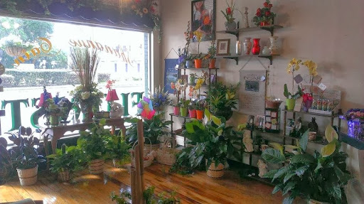 Florist «Shananne Cain Florist Inc», reviews and photos, 123 N Central Ave, Umatilla, FL 32784, USA