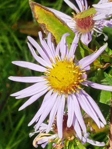 State Park «Swatara State Park», reviews and photos, 1450 Suedberg Rd, Pine Grove, PA 17963, USA