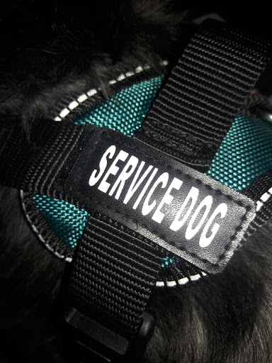 Cosmetics Store «MAC Cosmetics», reviews and photos, 1530 Buena Vista Dr #1b, Lake Buena Vista, FL 32830, USA