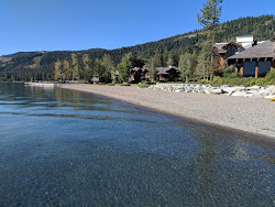 Tahoe Pines Beach'in fotoğrafı vahşi alan