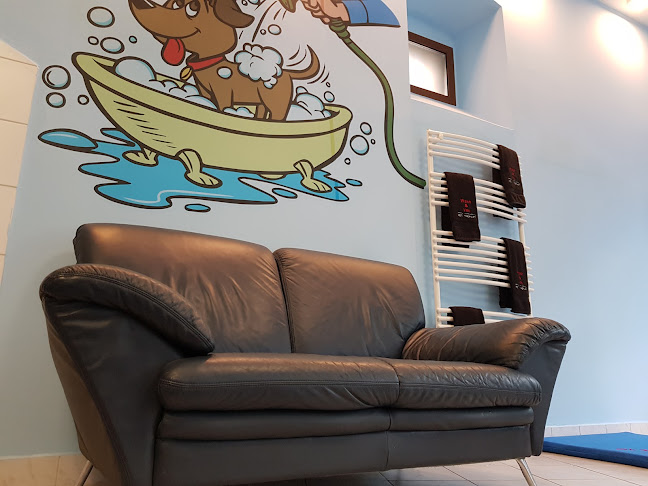 Értékelések erről a helyről: Mosonmagyaróvári Önkiszolgáló kutyamosó, Mosonmagyaróvár - Állatorvos