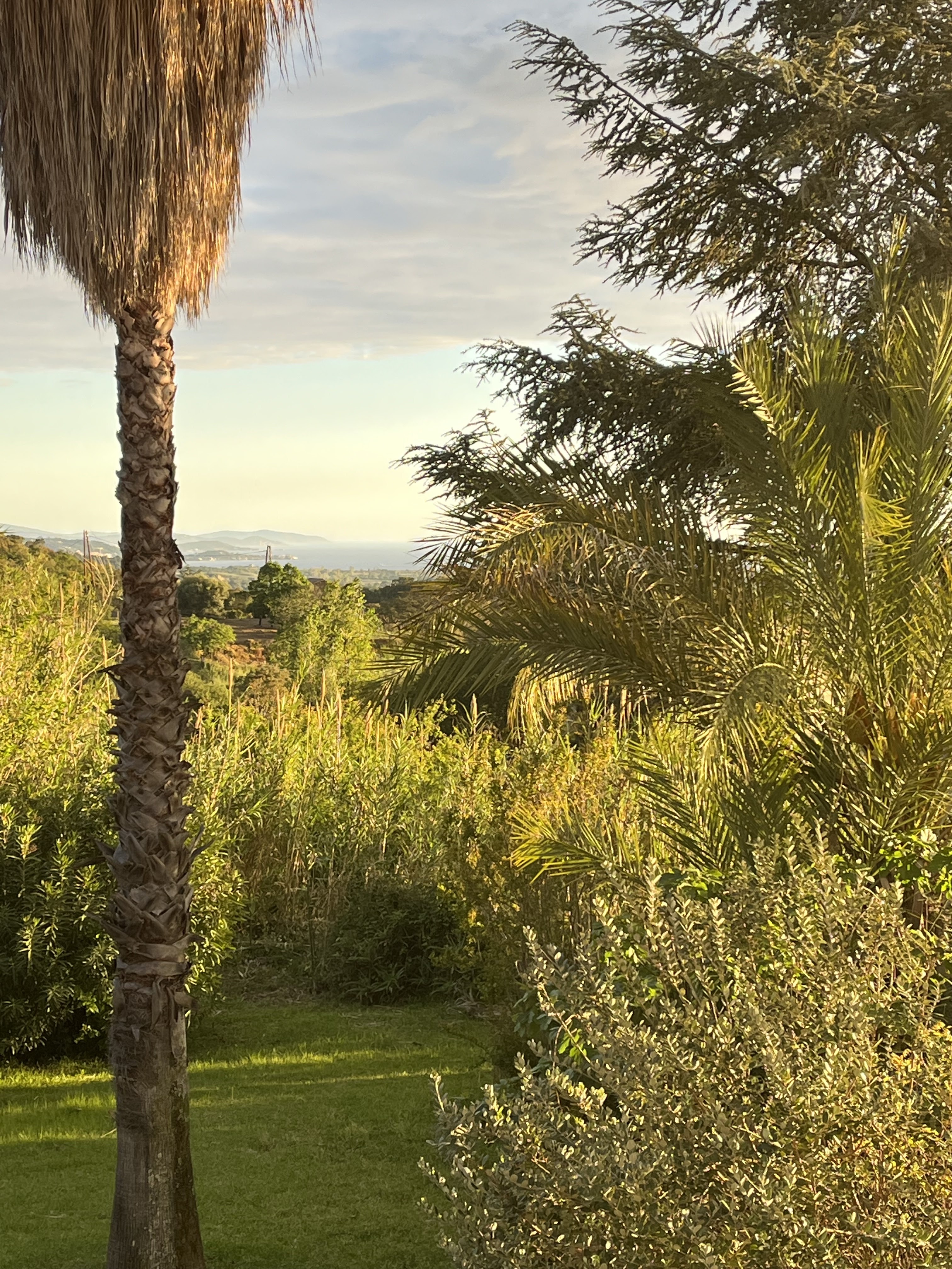 Photo n° 2 de l'avis de Françoise.I fait le 02/05/2023 à 21:03