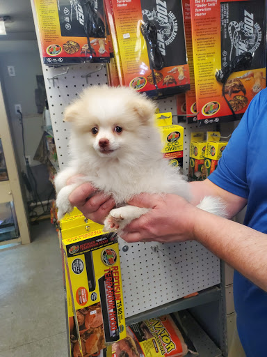 Pet Store «Fish Bowl Aquarium & Pet Mart», reviews and photos, 425 Pleasant St # 21, Fall River, MA 02721, USA