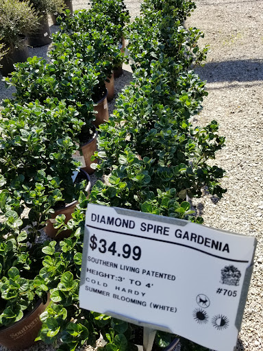 Plant Nursery «Guerin Nursery and Boutique», reviews and photos, 1418 Fall Creek Hwy, Granbury, TX 76049, USA