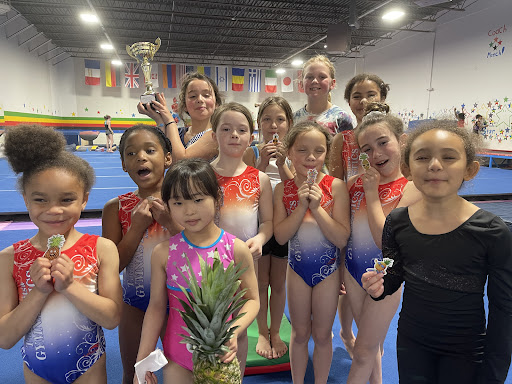 Gymnastics Center «Tatiana Gutsu Gymnastics Academy», reviews and photos, 24723 Crestview, Farmington Hills, MI 48335, USA