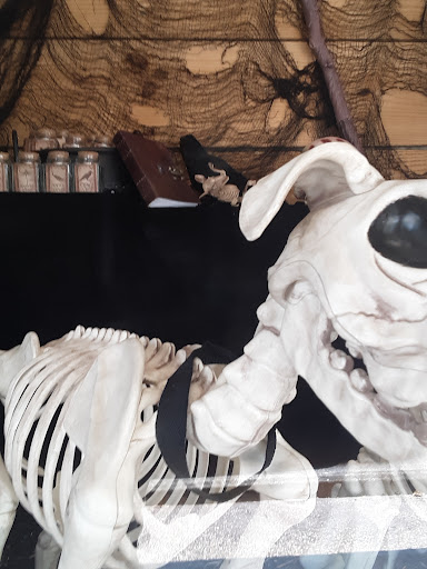 Pet Supply Store «The Stock Market Country Store», reviews and photos, 4479 Dover Pl SE, Conyers, GA 30013, USA