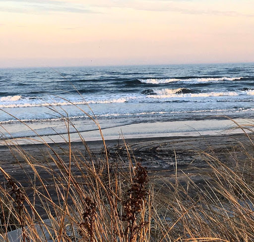 Tour Agency «Wildwood Boardwalk», reviews and photos, 3720 Boardwalk, Wildwood, NJ 08260, USA