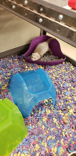 Pet Supply Store «Petco Animal Supplies», reviews and photos, 2435 N Hwy 67, Florissant, MO 63033, USA