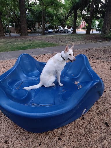 Park «Oregon Park», reviews and photos, NE Oregon St & NE 30th Ave, Portland, OR 97232, USA