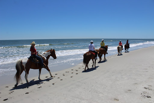 Kelly Seahorse Ranch