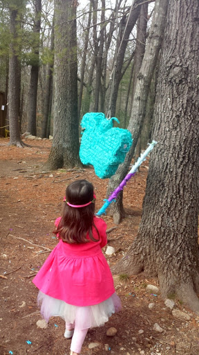 Science Museum «South Shore Natural Science Center», reviews and photos, 48 Jacobs Ln, Norwell, MA 02061, USA