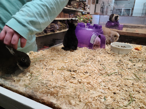 Pet Store «Wet Pets», reviews and photos, 1712 Montgomery Hwy, Dothan, AL 36303, USA