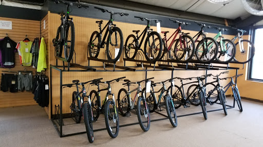 Bicycle Store «Crystal Lake Ski & Bike», reviews and photos, 905 Pyott Rd, Crystal Lake, IL 60014, USA
