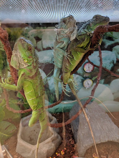 Pet Supply Store «Petco Animal Supplies», reviews and photos, 244 Pioneer Trail, Chaska, MN 55318, USA