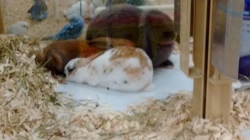 Pet Supply Store «Pet Supermarket, Inc.», reviews and photos, 1304 Precinct Line Rd, Hurst, TX 76053, USA
