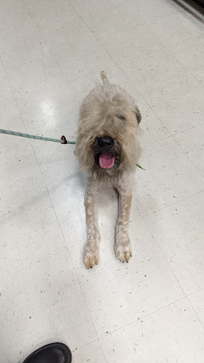 Animal Feed Store «Wilco Farm Store», reviews and photos, 1905 NE Four Acre Pl, Corvallis, OR 97330, USA