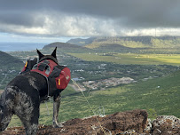 City Feed - Photo 3 - Car repair in Honolulu, HI, Honolulu