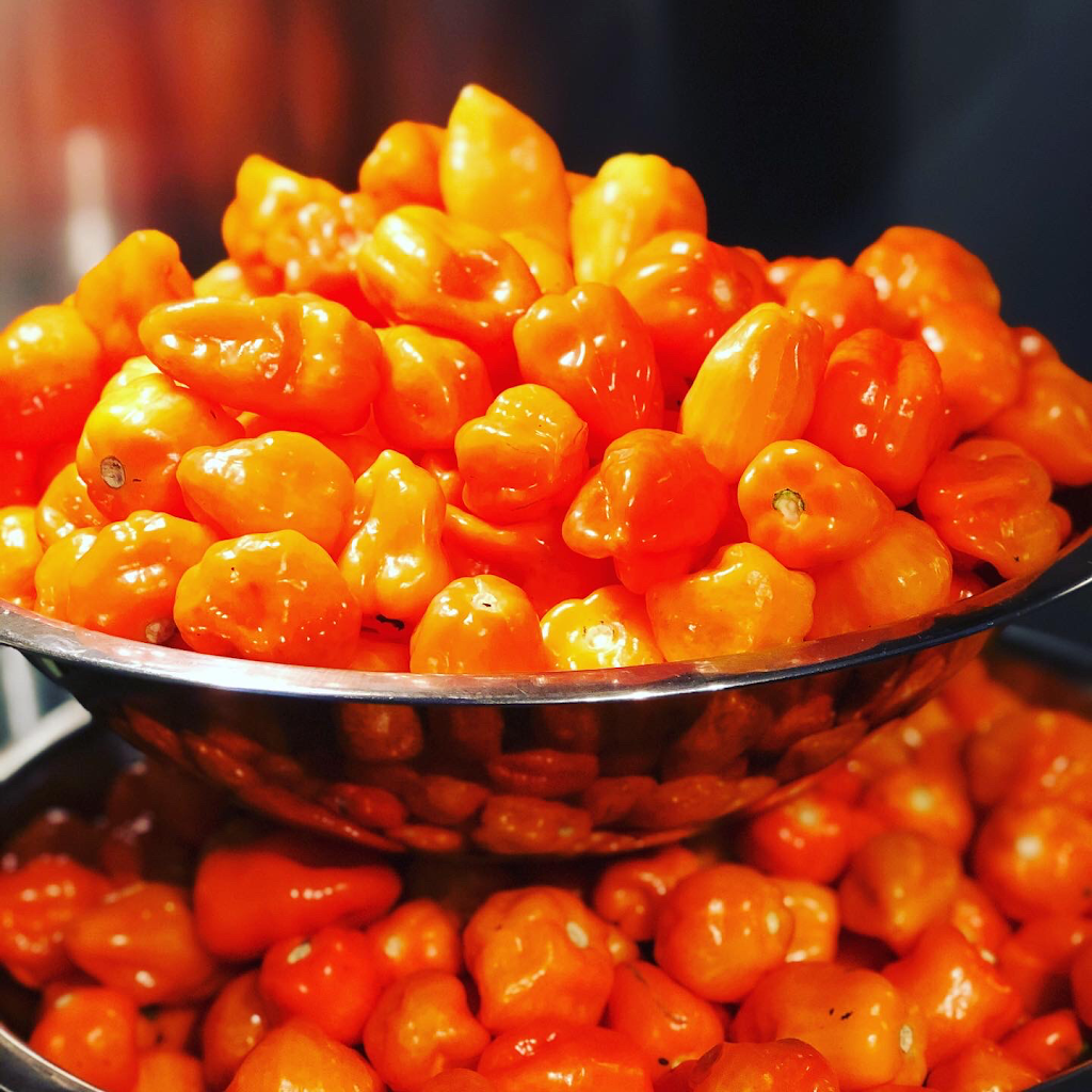 Rickys Island Style Cafe 80439