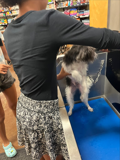 Pet Store «Choice Pet Market», reviews and photos, 20028 N 67th Ave, Glendale, AZ 85308, USA