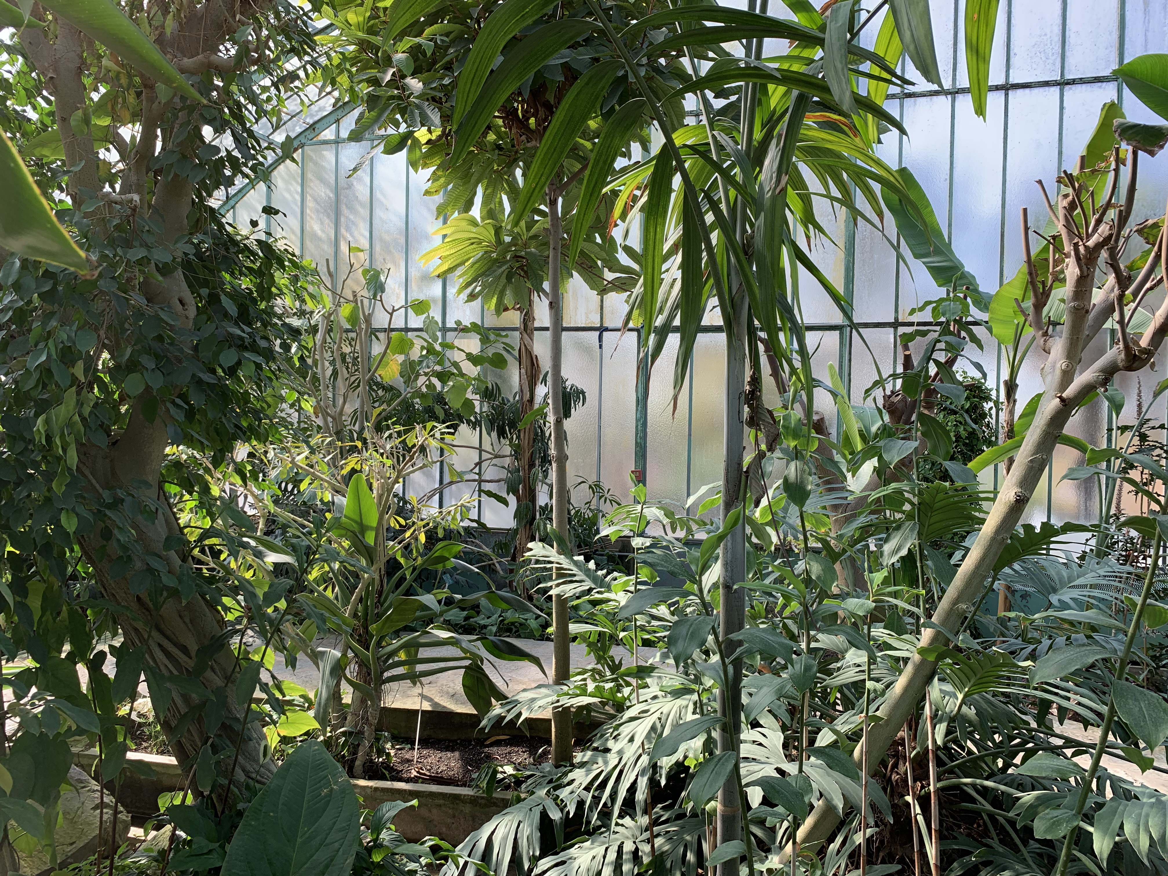 Photo n° 2 de l'avis de Huynh.h fait le 22/03/2019 à 19:10