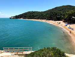 Zdjęcie Baia di Campi z przestronna zatoka