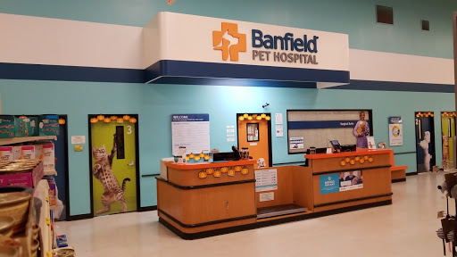 Pet Supply Store «PetSmart», reviews and photos, 88 Shops at 5 Way, Plymouth, MA 02360, USA