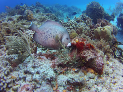 Texan Scuba @ The Blue Lagoon