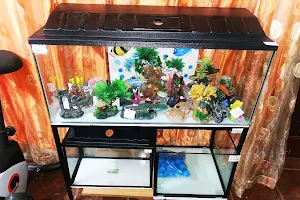 APF Aquatics image