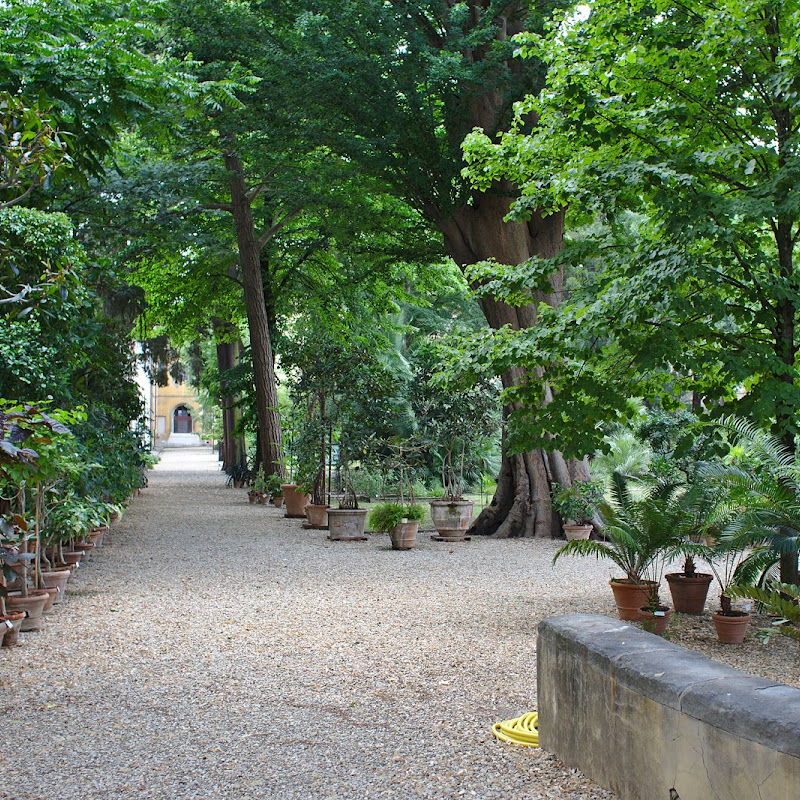 Orto Botanico di Firenze